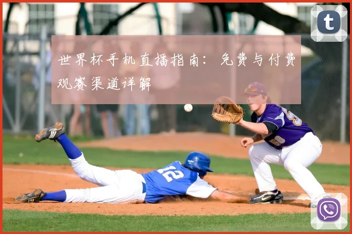世界杯手机直播指南：免费与付费观赛渠道详解
