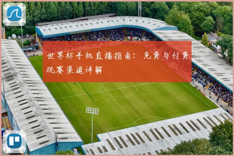 世界杯手机直播指南：免费与付费观赛渠道详解